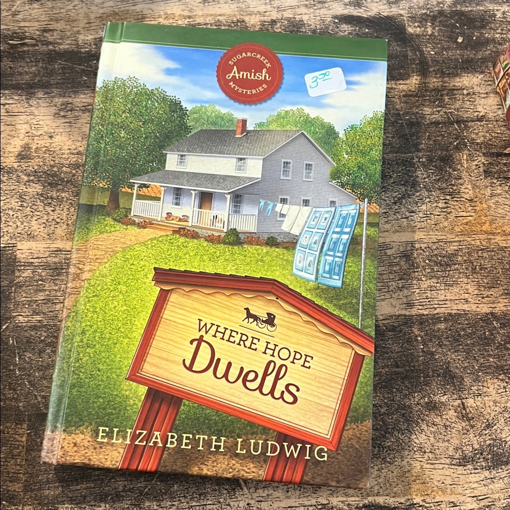 Amish mystery books - Picture 4 of 5
